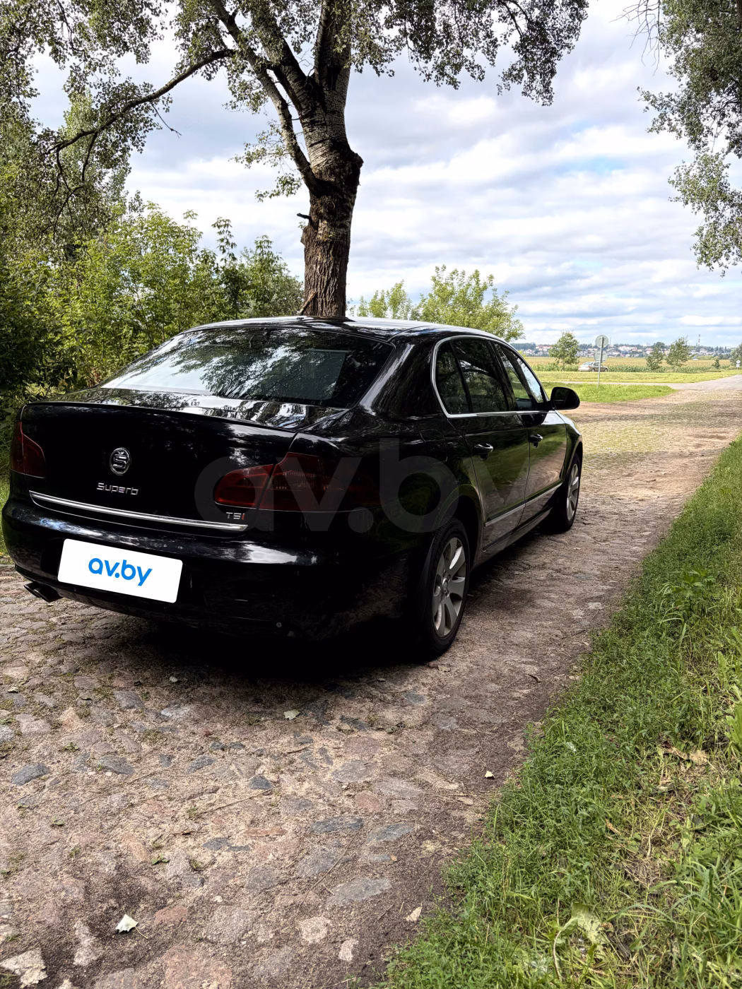 Skoda Superb фото 6