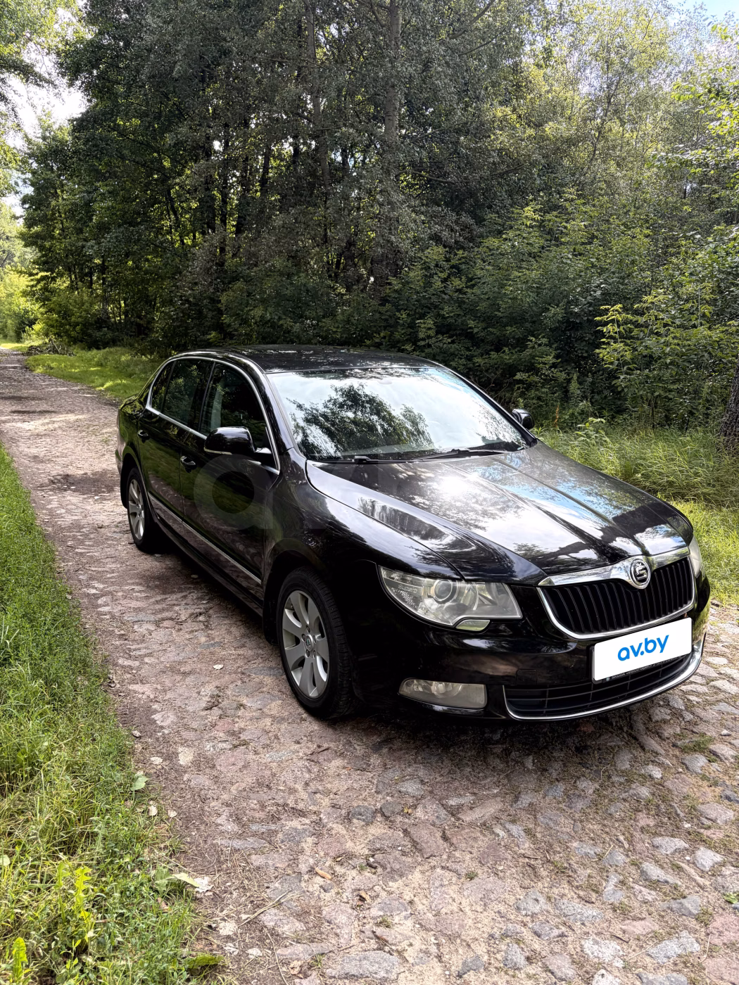 Skoda Superb фото 2