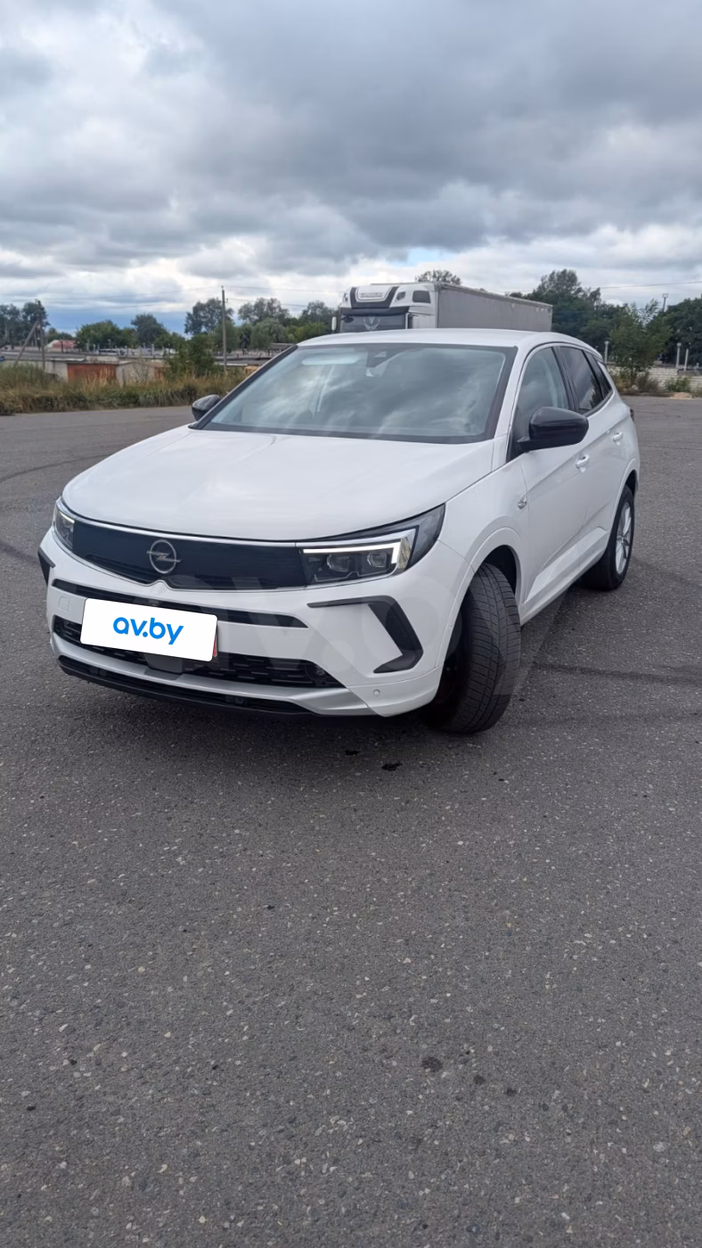 Opel Grandland X фото 3