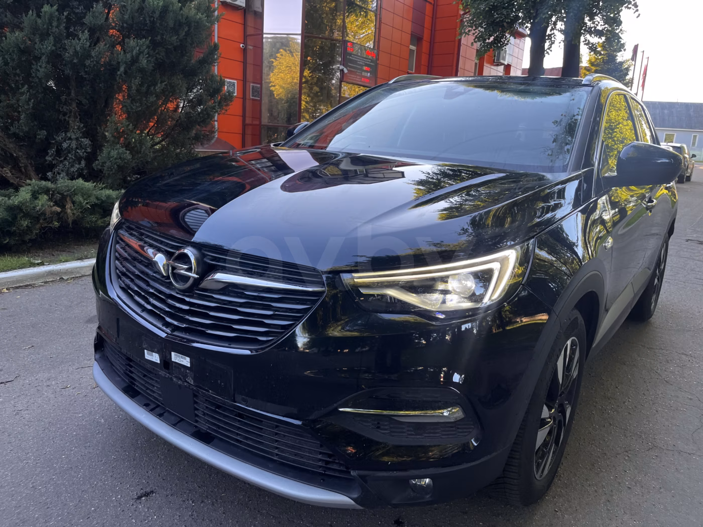Opel Grandland X фото 5