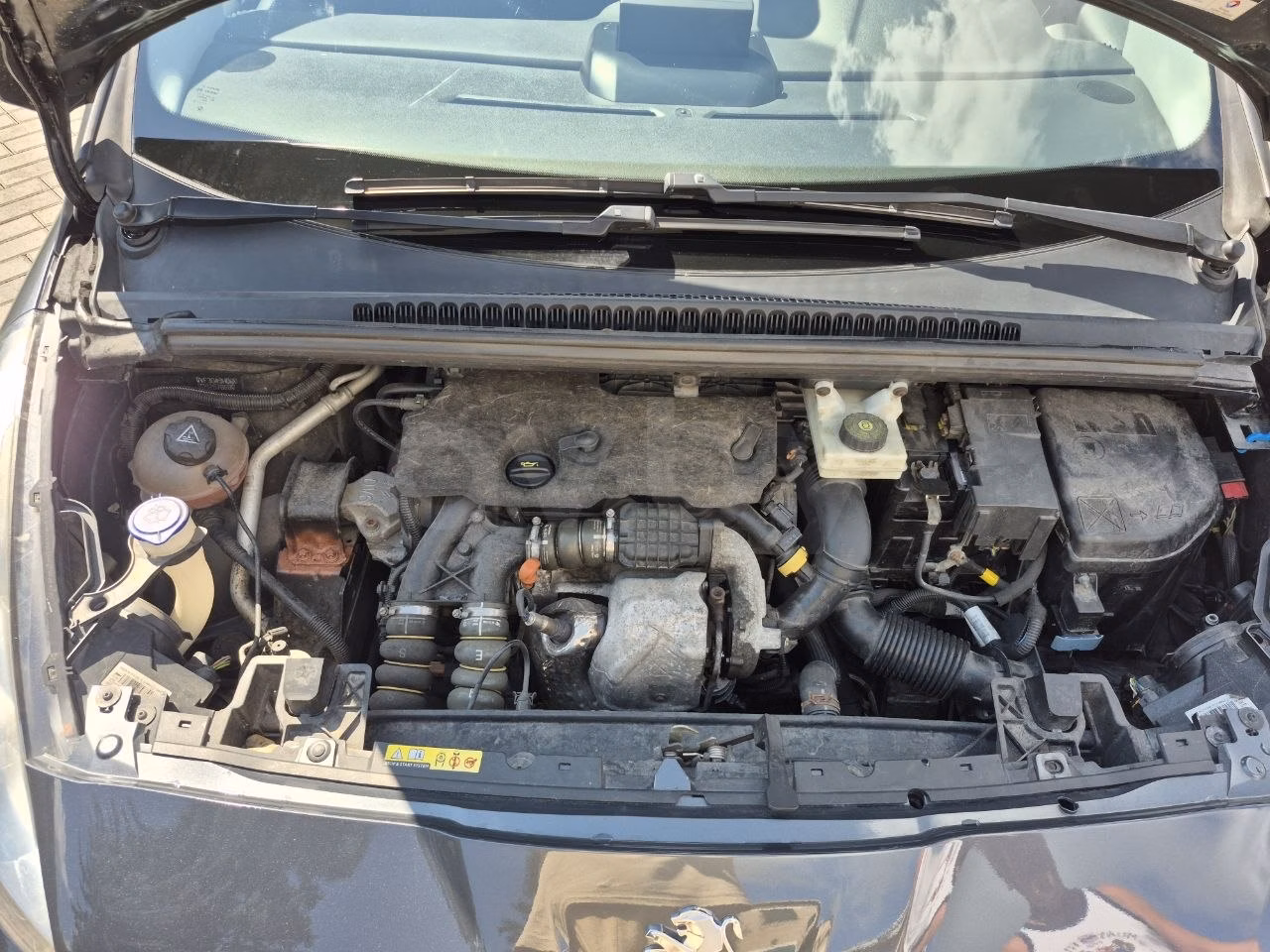 Peugeot 5008 фото 18