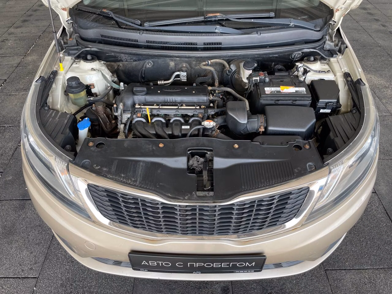 Kia Rio фото 8