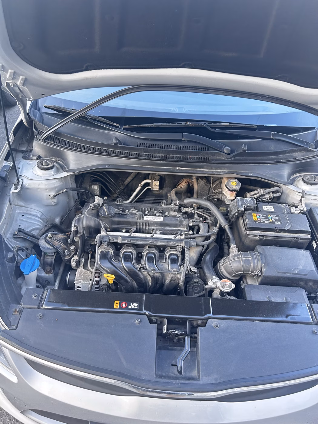 Kia Rio фото 12