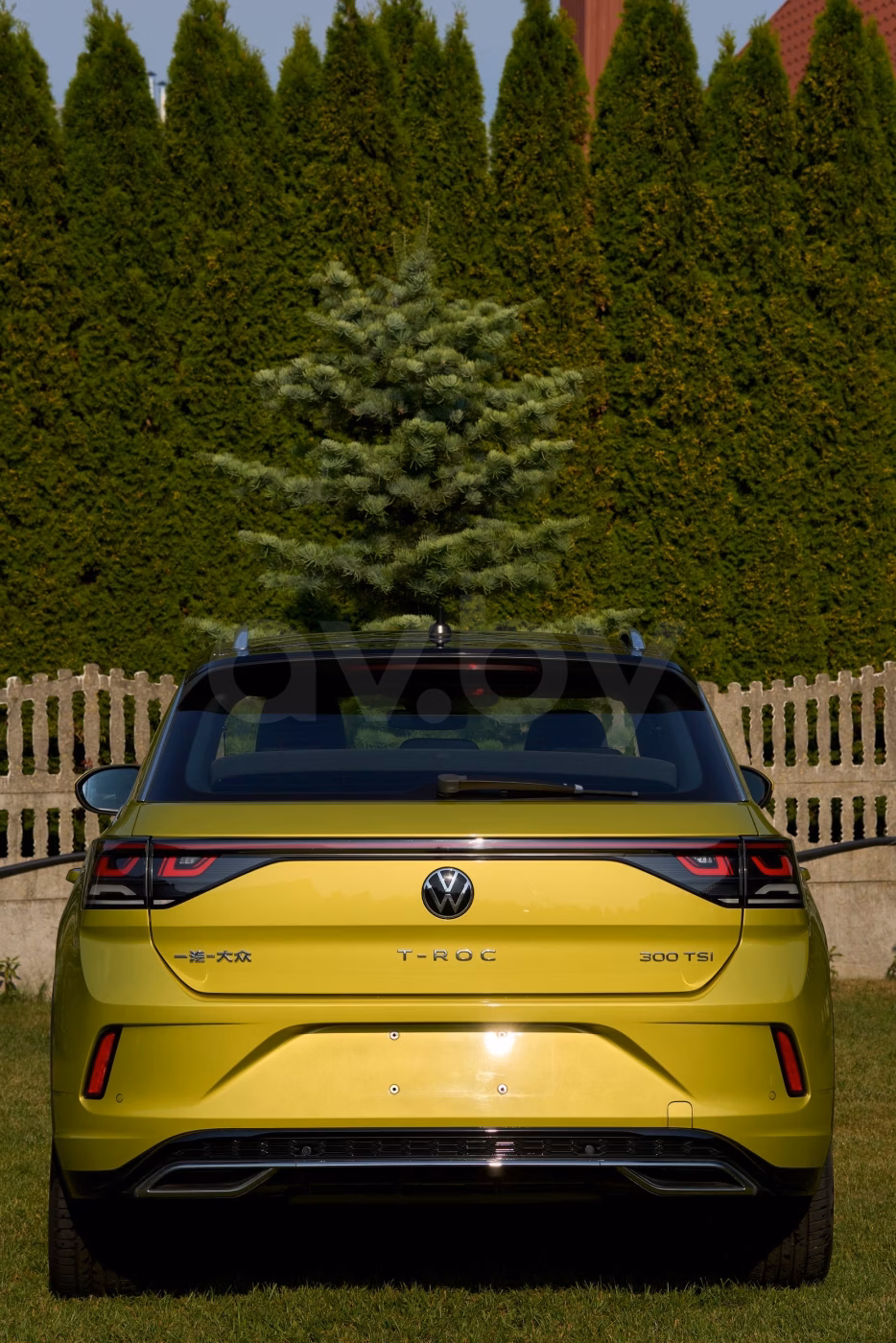 Volkswagen T-Roc фото 8