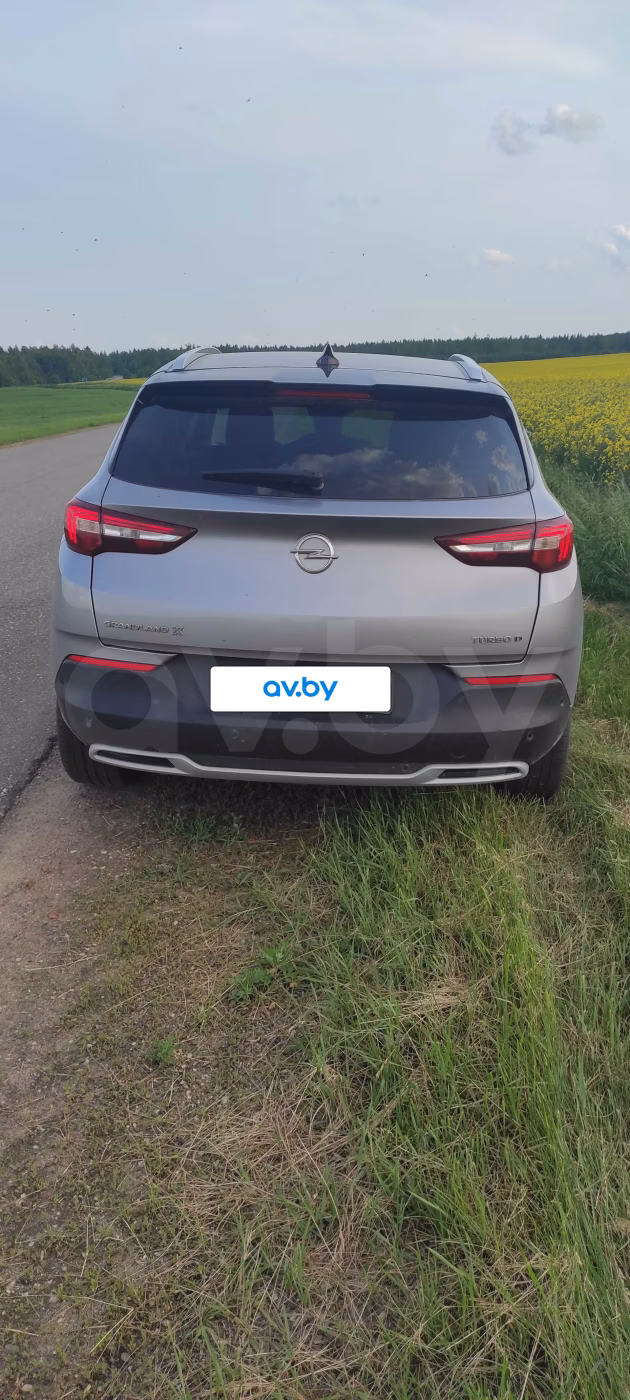 Opel Grandland X фото 13