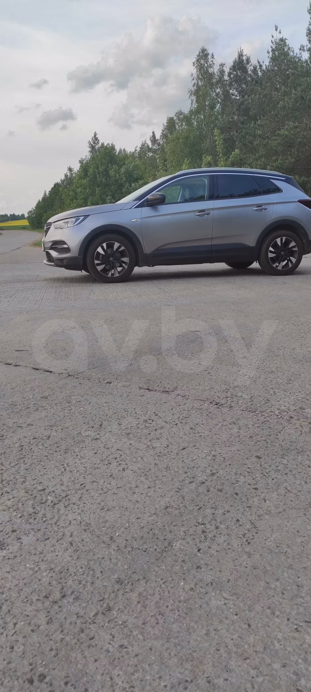 Opel Grandland X фото 15
