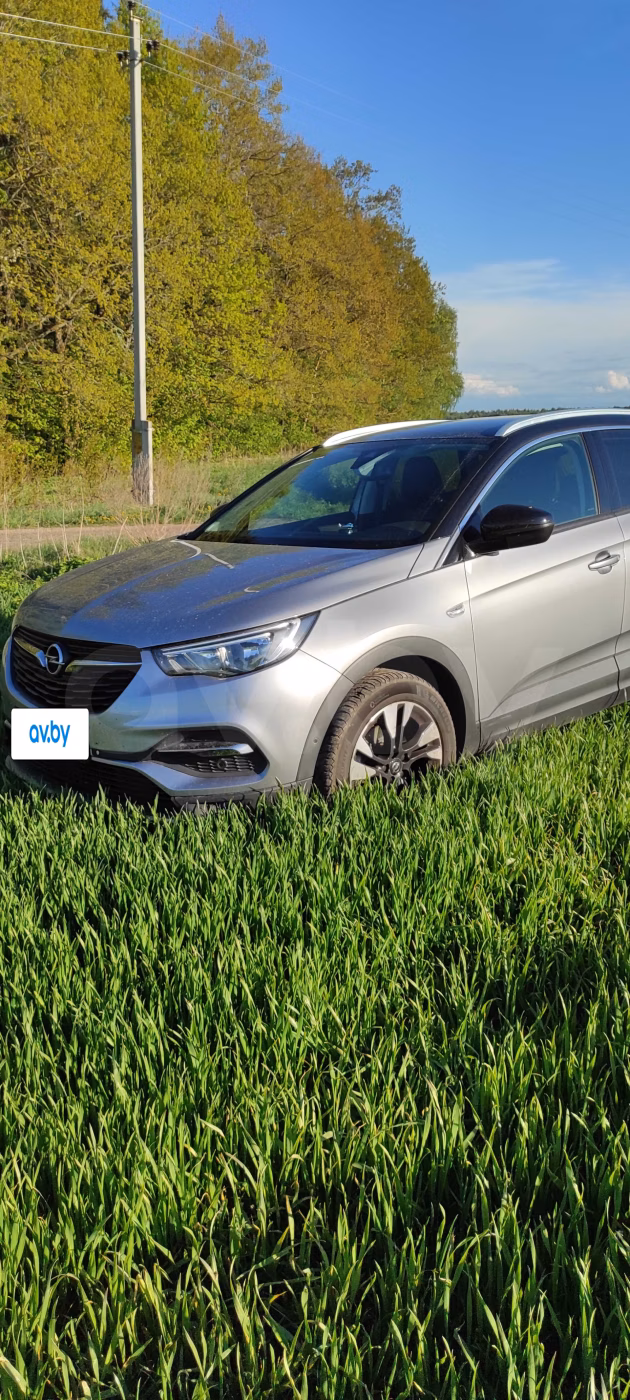 Opel Grandland X фото 19