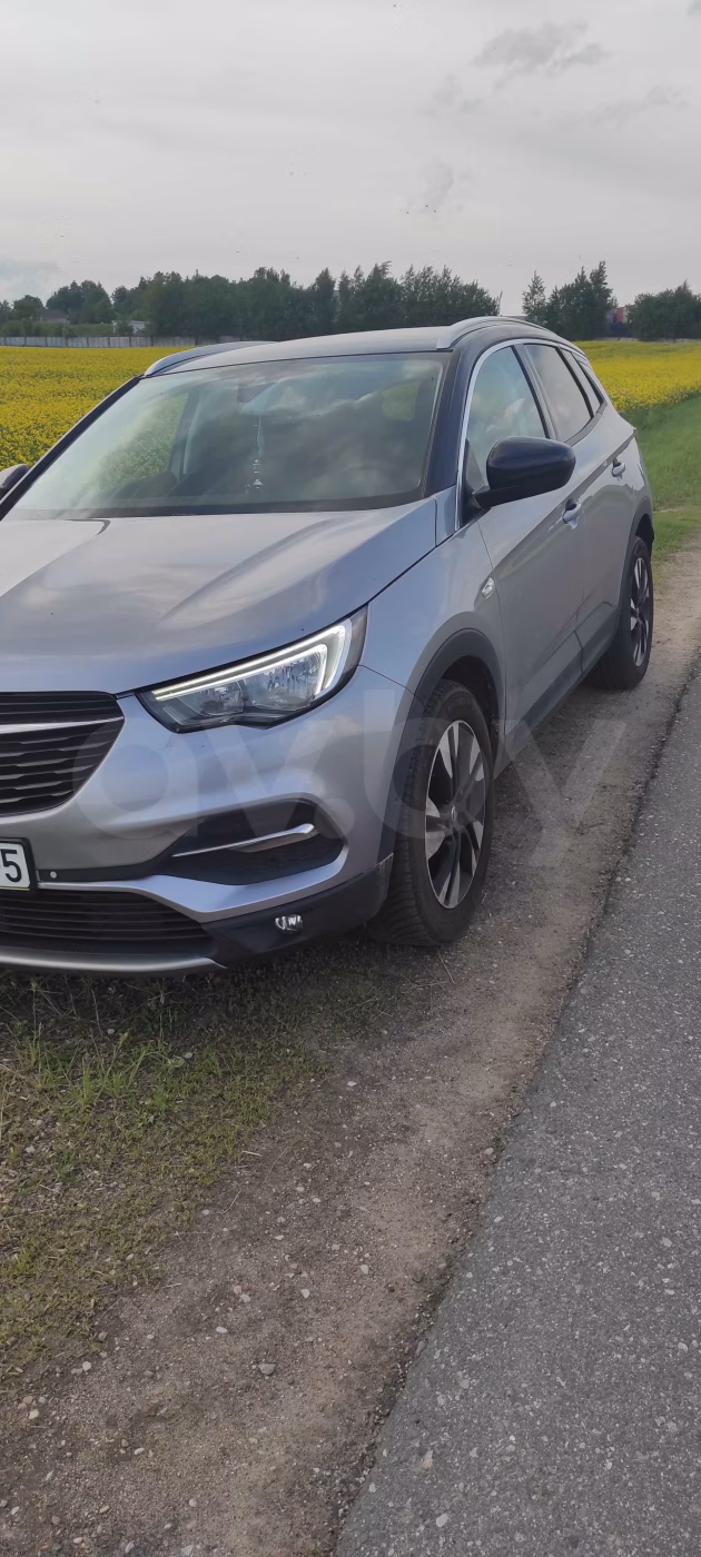 Opel Grandland X фото 14