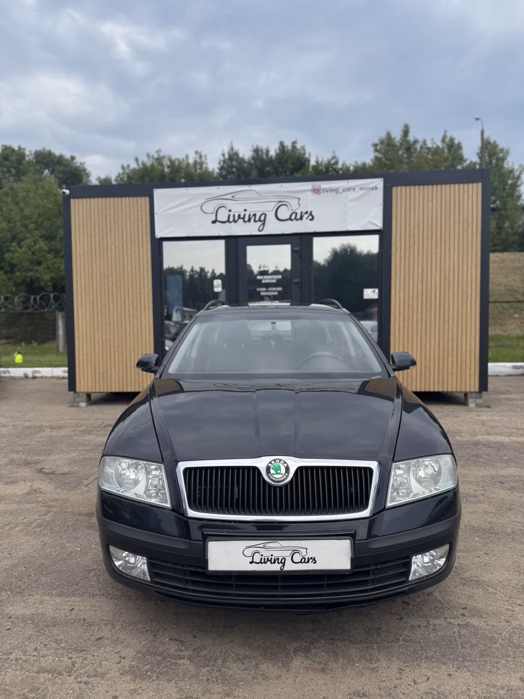 Skoda Octavia фото 2