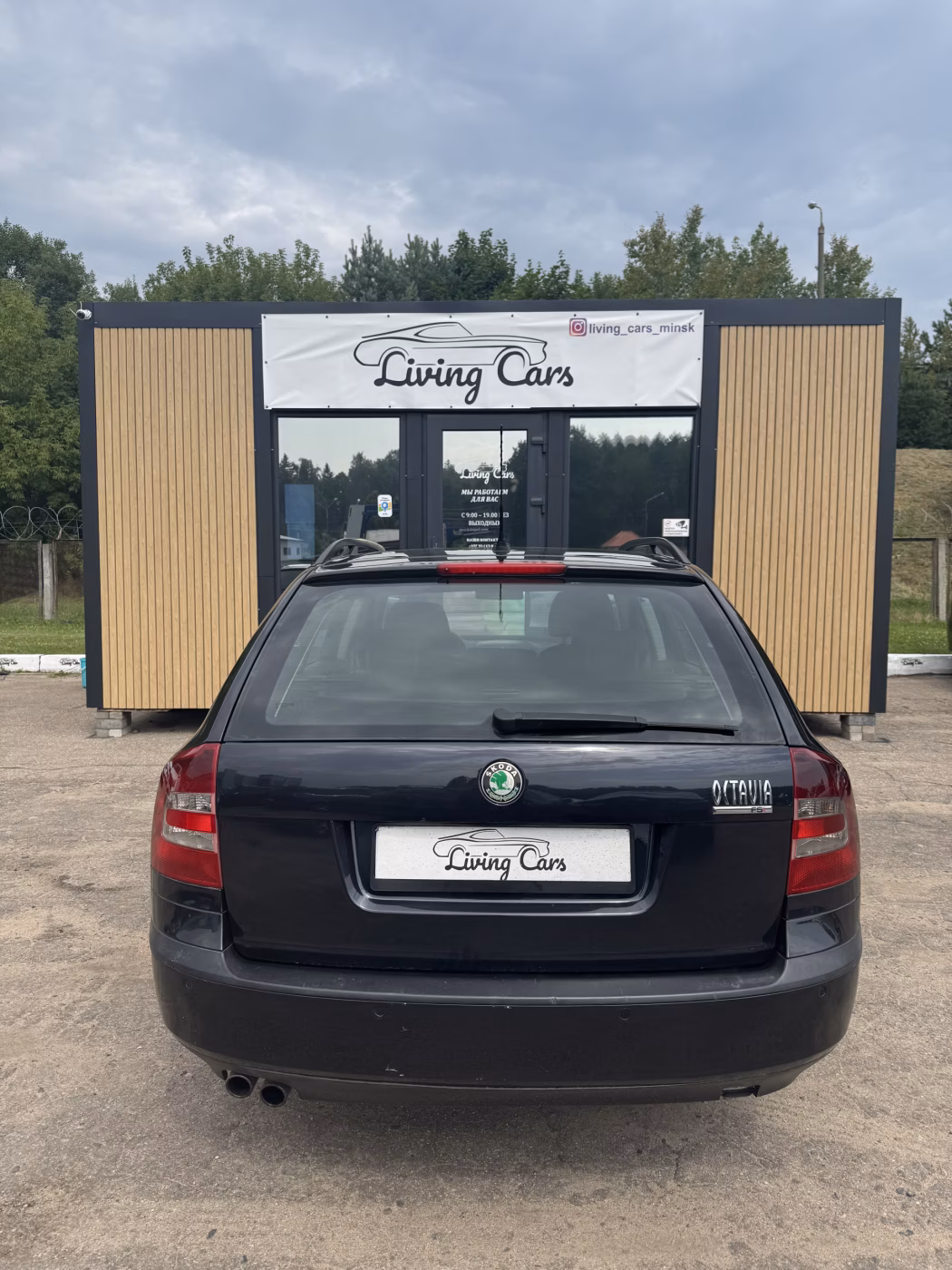 Skoda Octavia фото 5