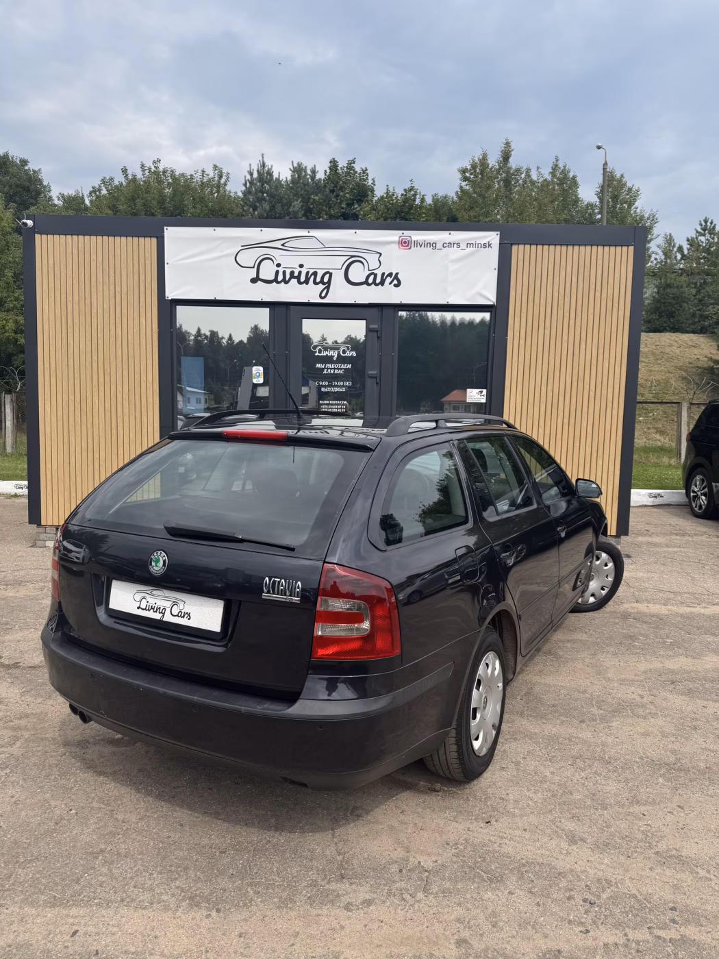 Skoda Octavia фото 4