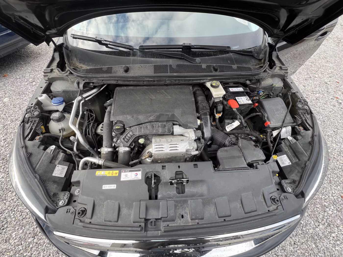 Peugeot 308 фото 17