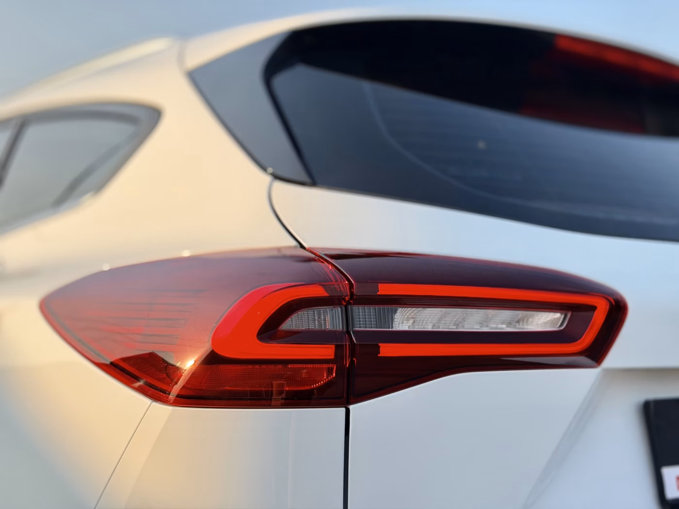 Ford Focus фото 16