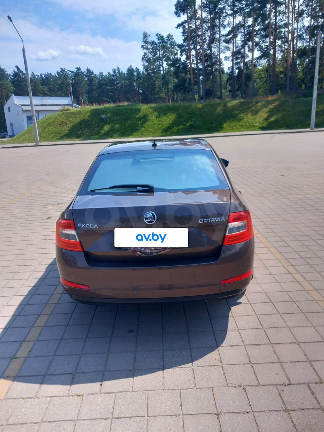 Skoda Octavia фото 2