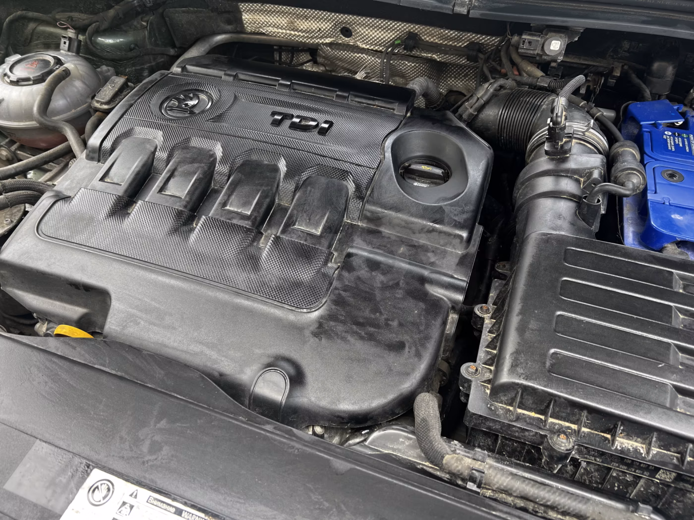 Skoda Kodiaq фото 12
