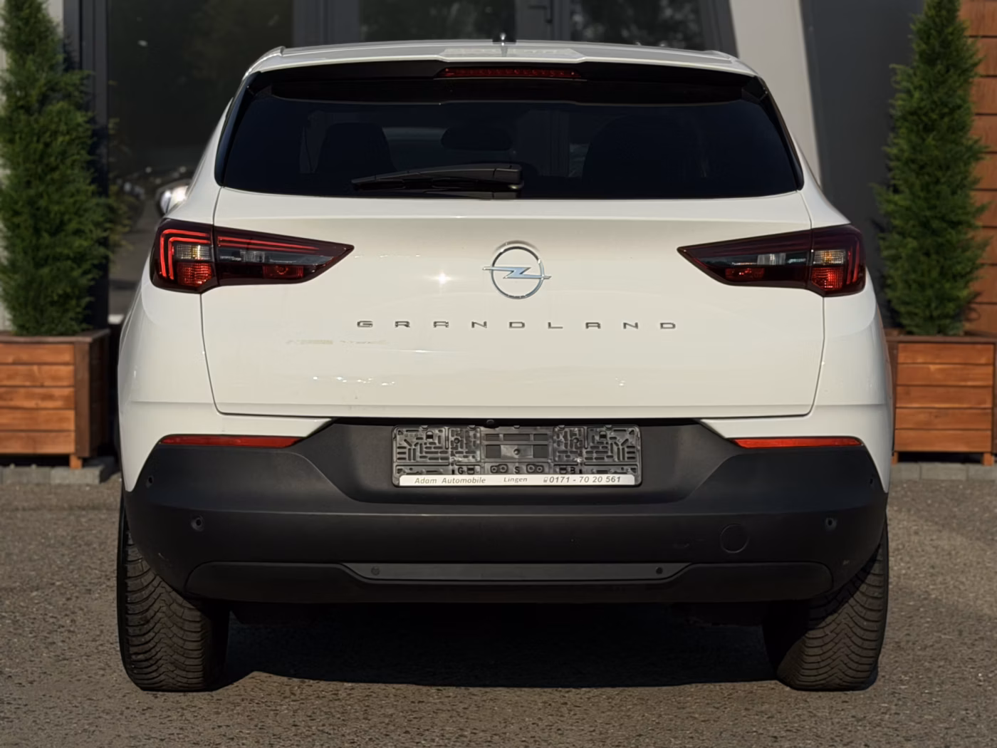 Opel Grandland X фото 4