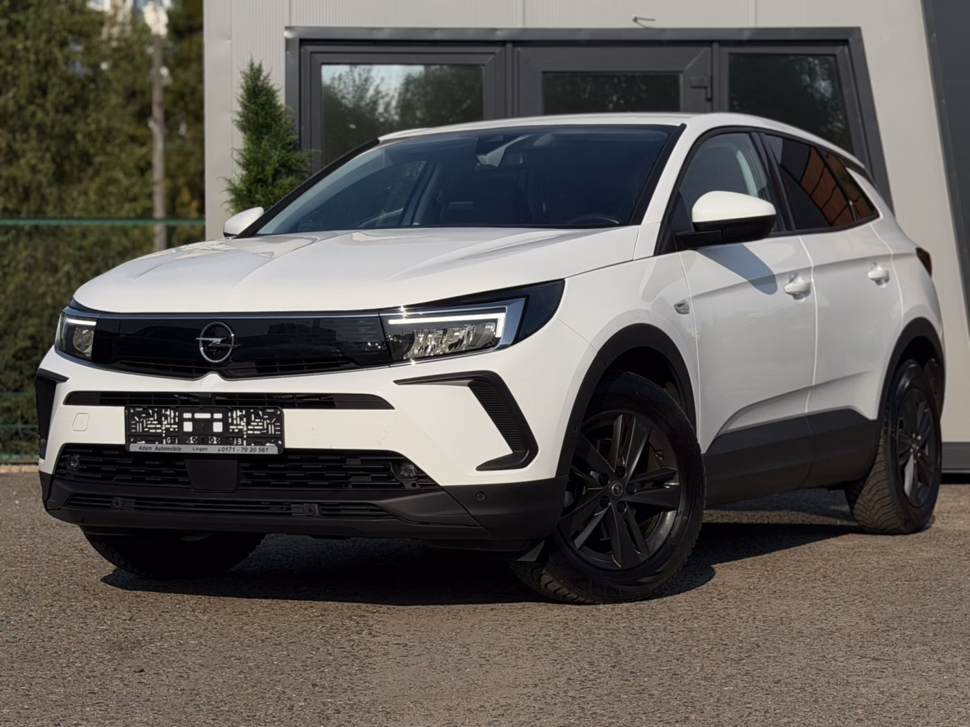 Opel Grandland X фото 7
