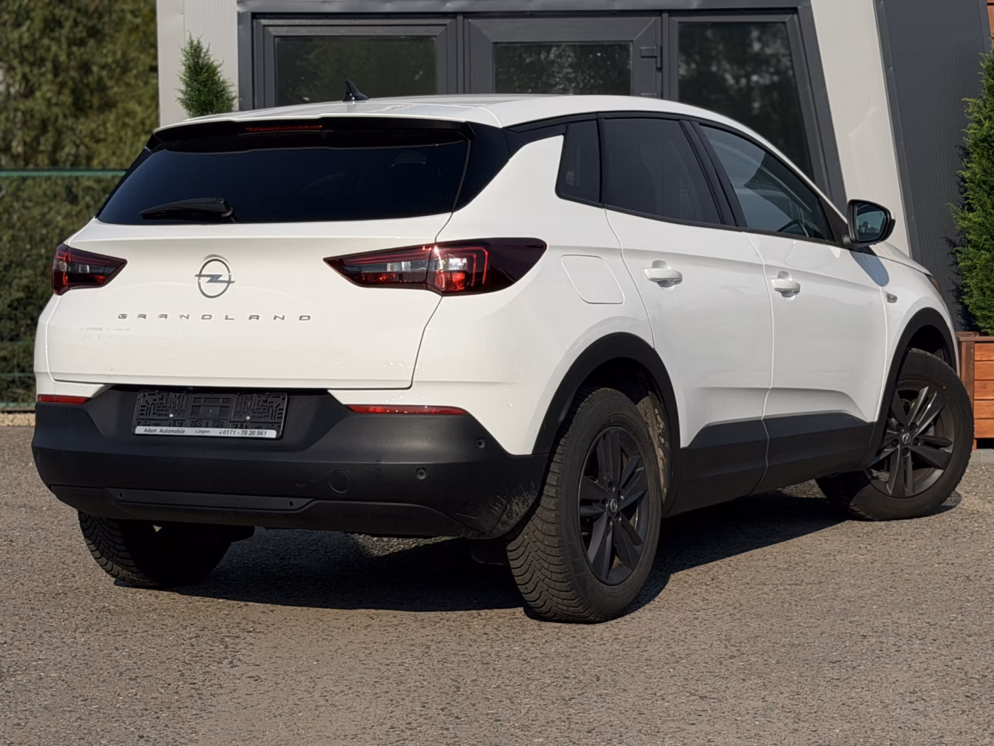 Opel Grandland X фото 3