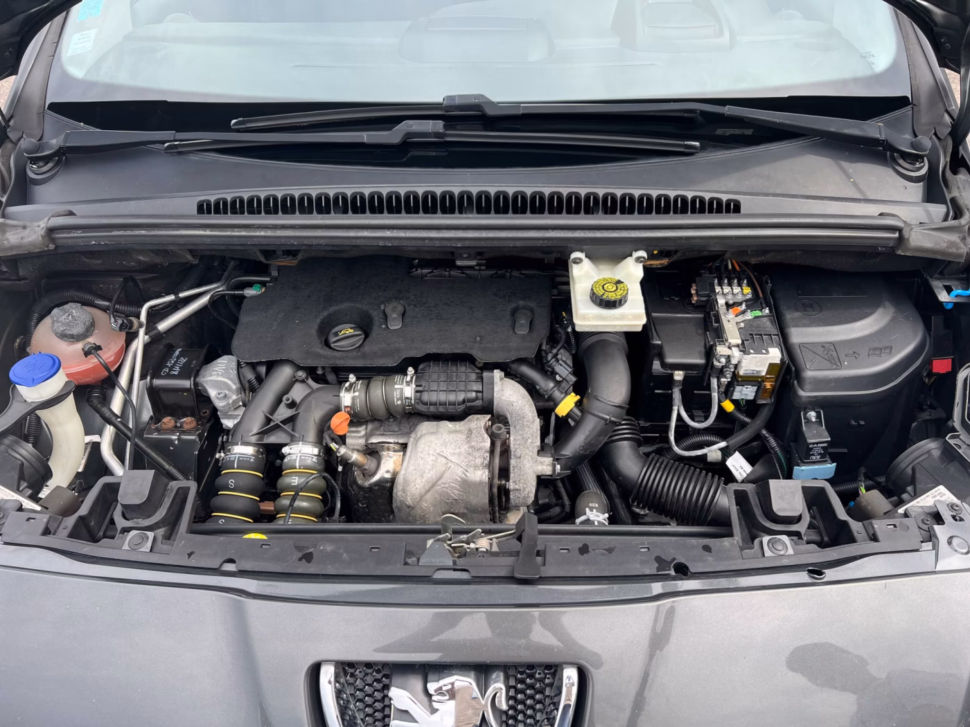 Peugeot 5008 фото 26