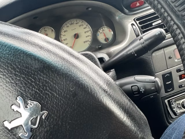 Peugeot 406 фото 15