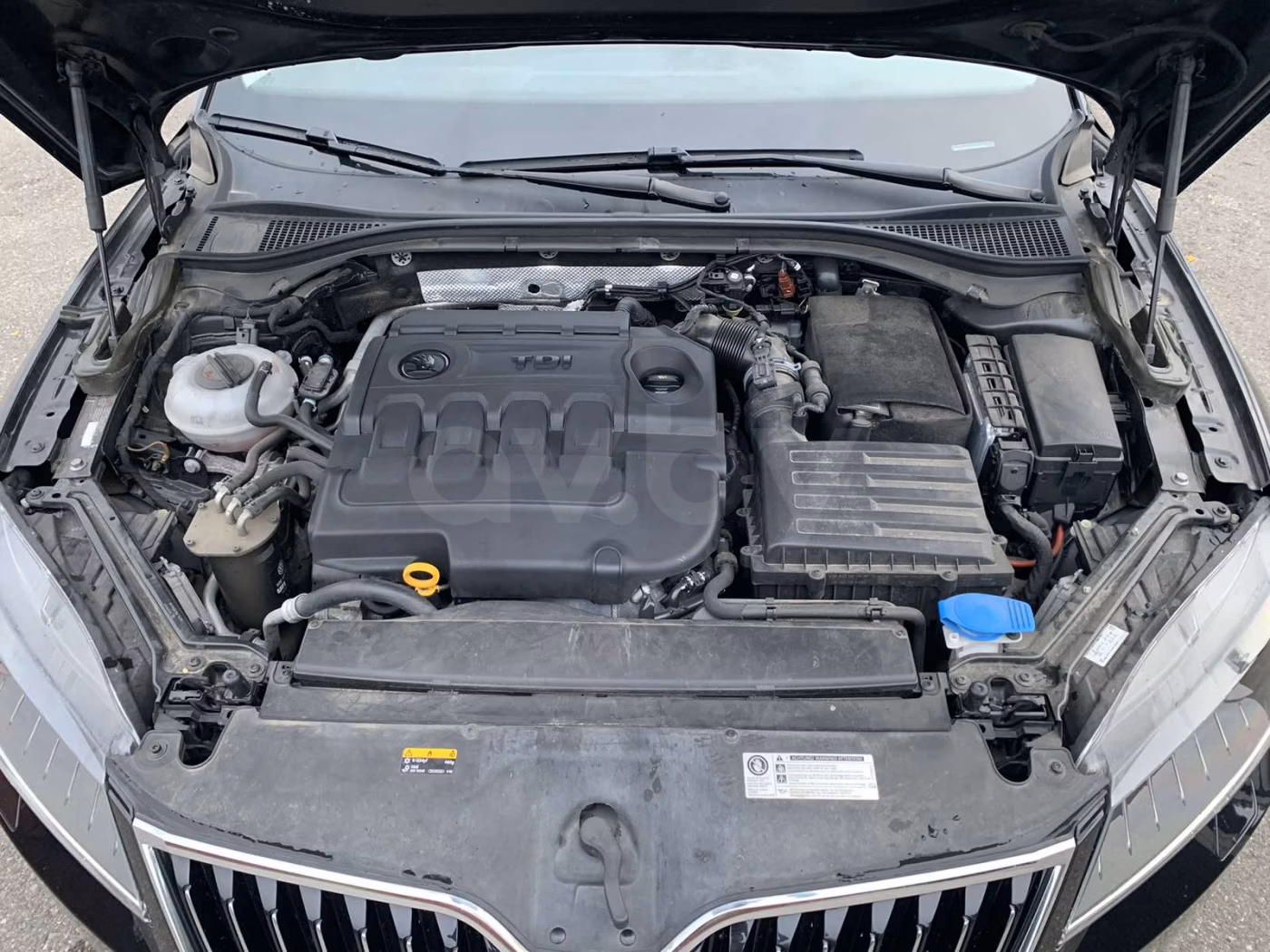 Skoda Superb фото 20
