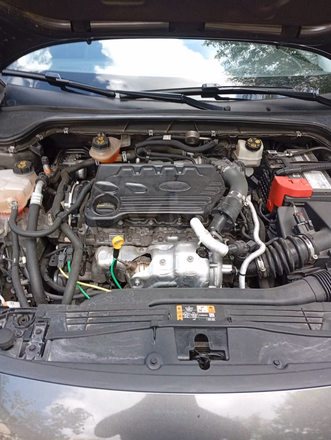 Ford Focus фото 11