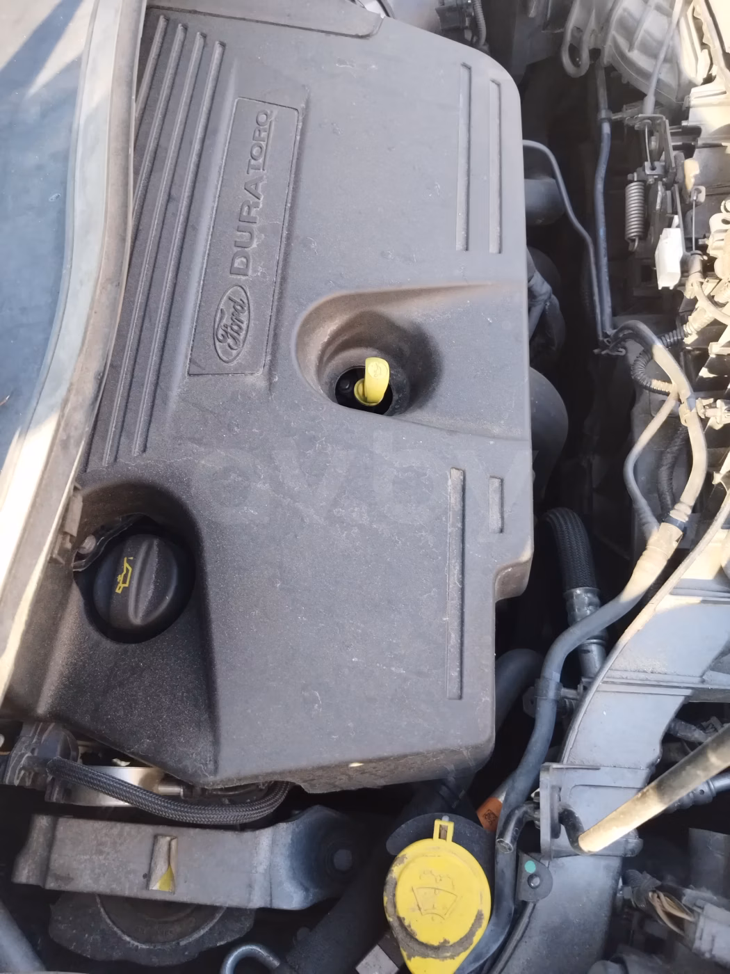 Ford Kuga фото 12