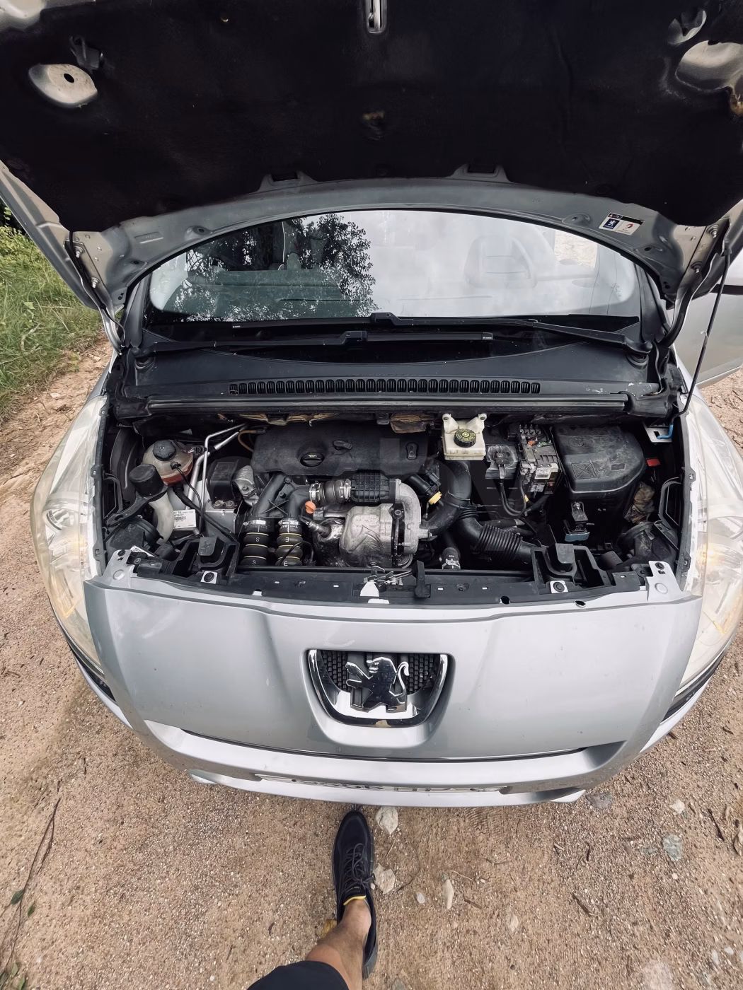 Peugeot 5008 фото 8