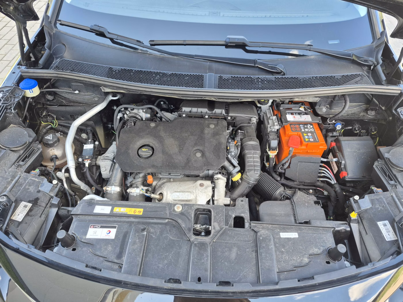 Peugeot 3008 фото 21