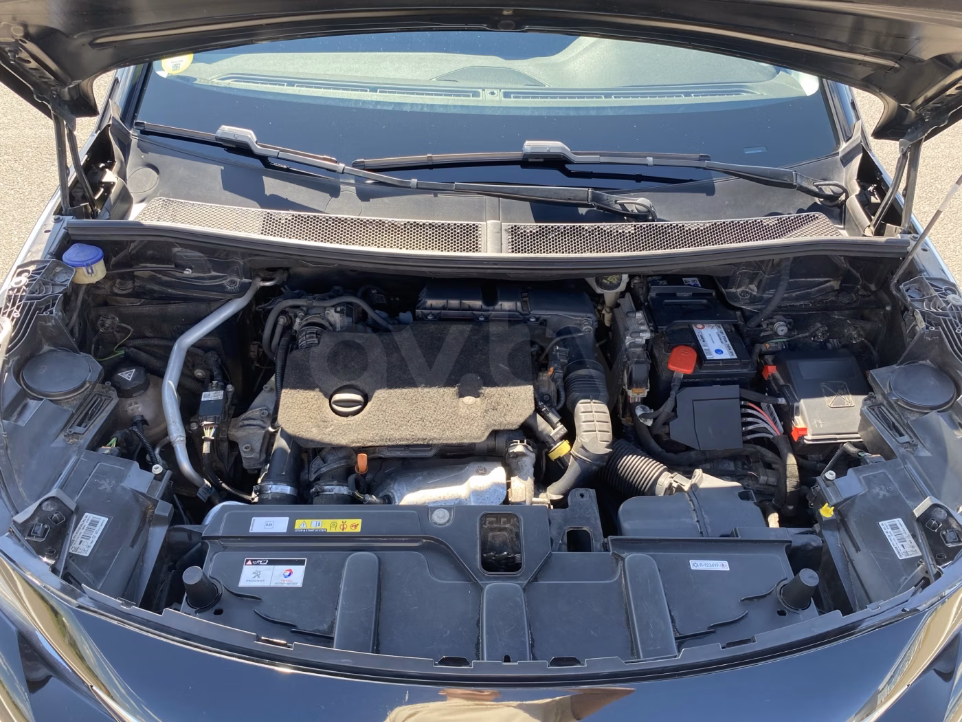 Peugeot 3008 фото 10