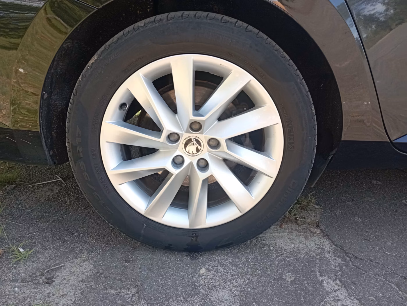 Skoda Superb фото 6