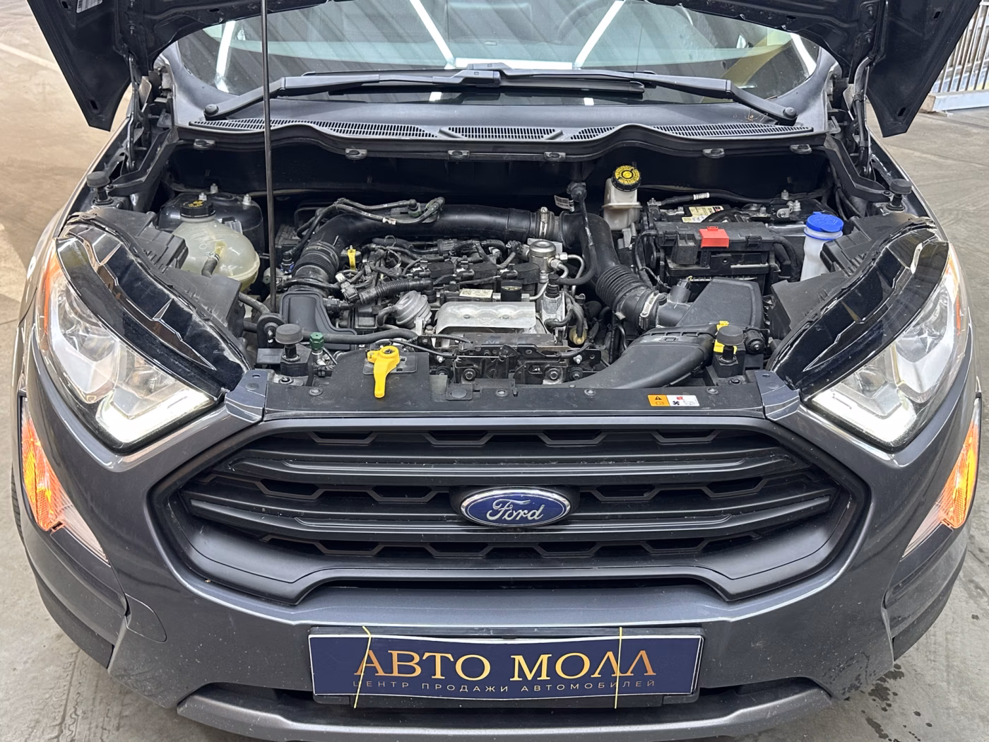 Ford EcoSport фото 30
