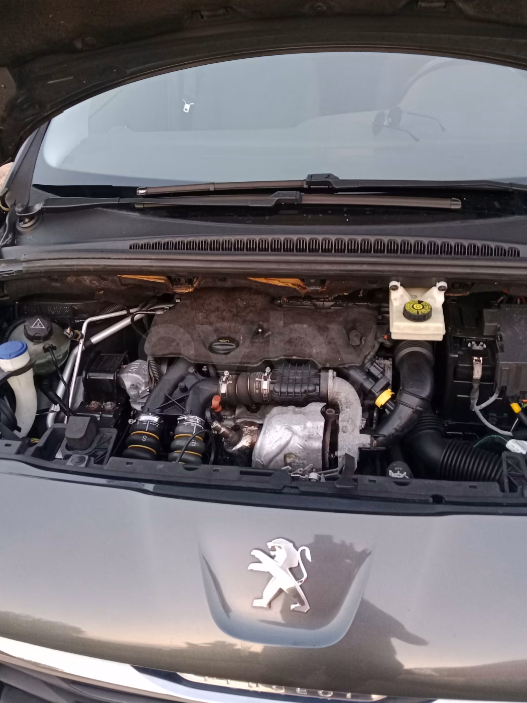 Peugeot 5008 фото 16