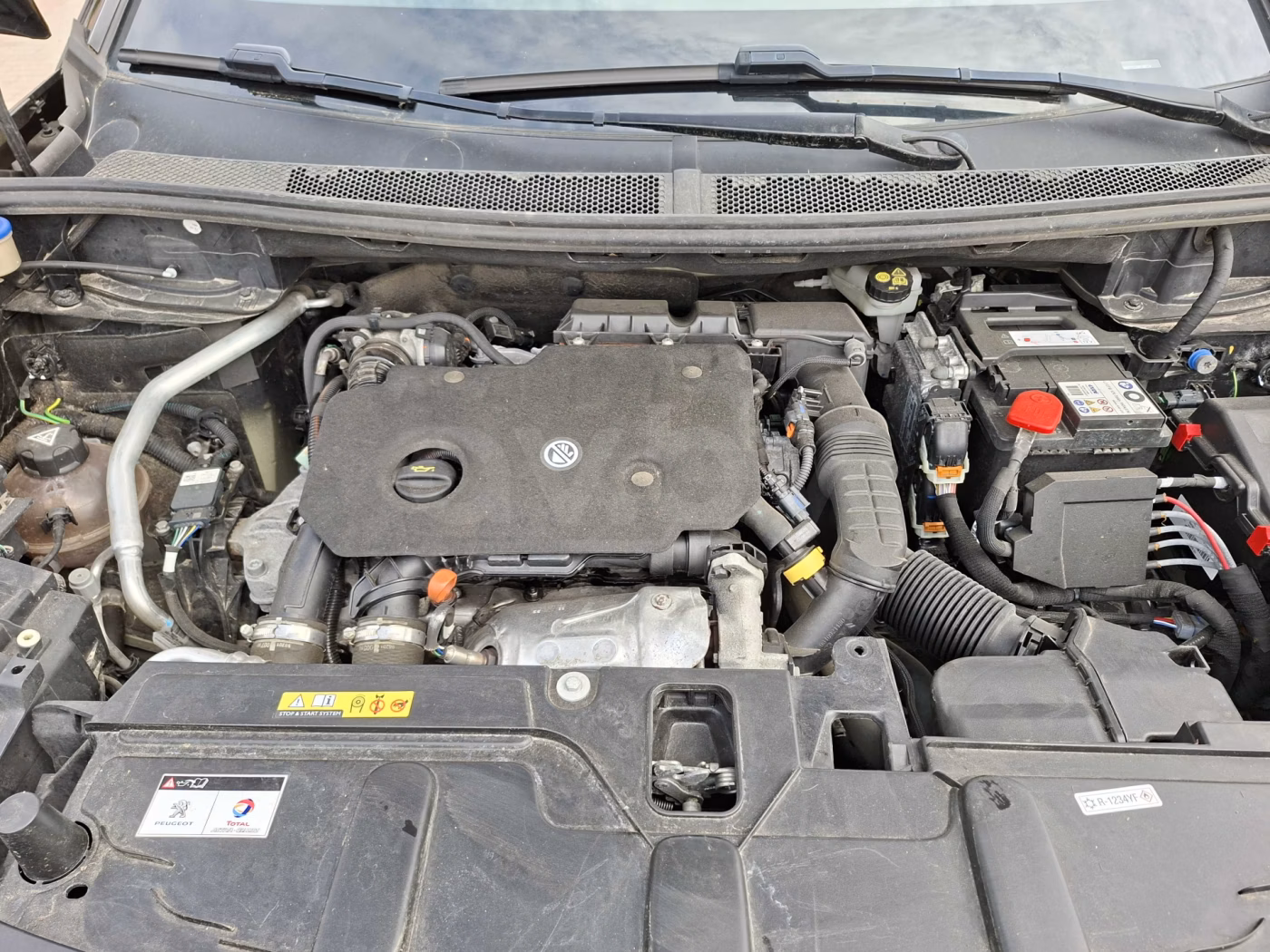 Peugeot 3008 фото 13
