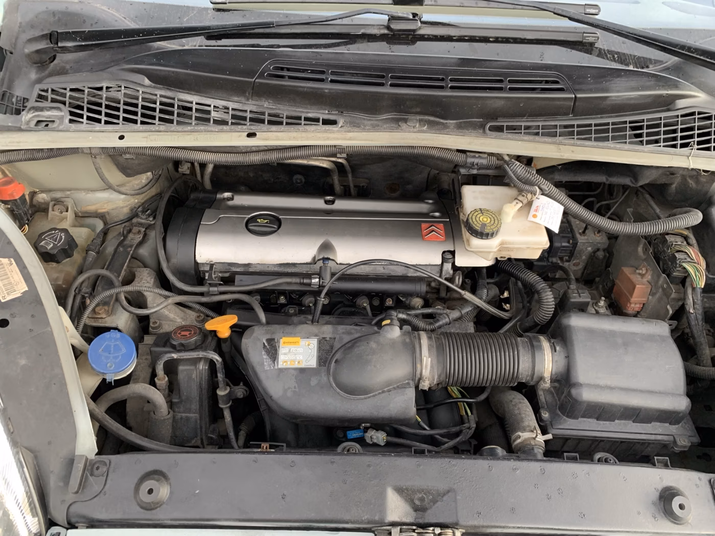Citroen Xsara Picasso фото 13