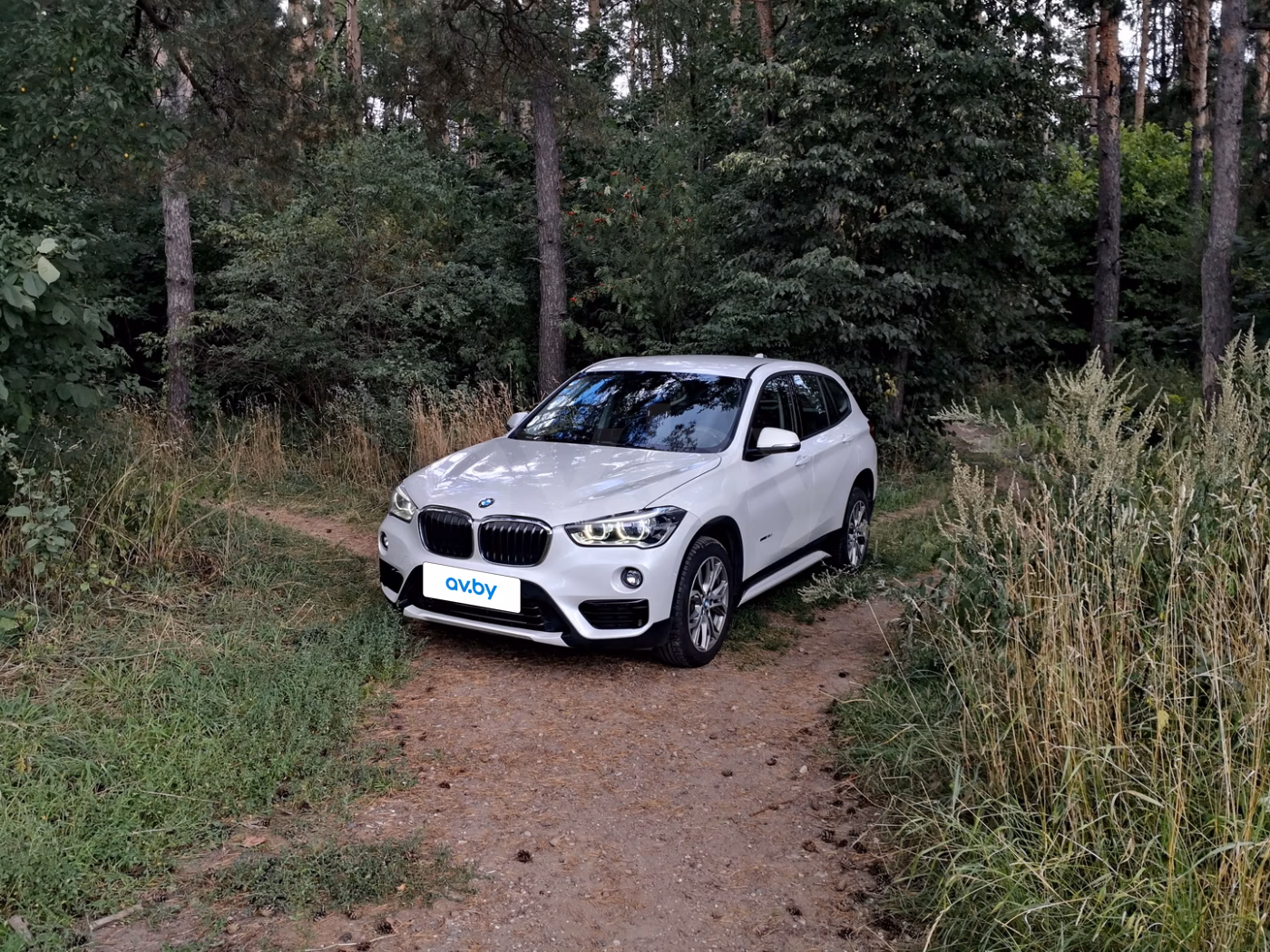 BMW X1 фото 9