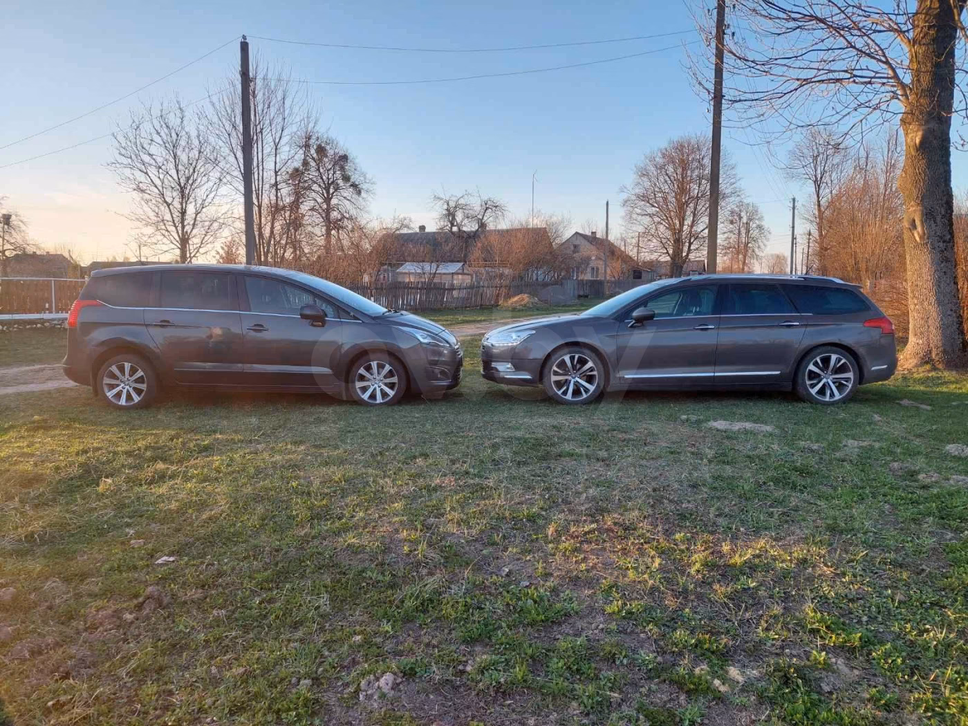 Peugeot 5008 фото 5