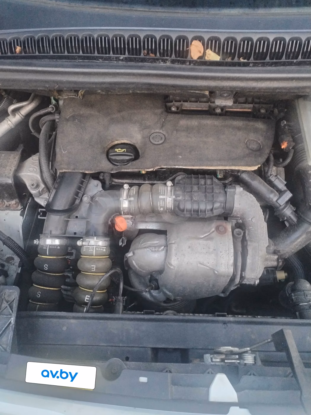 Peugeot 5008 фото 8