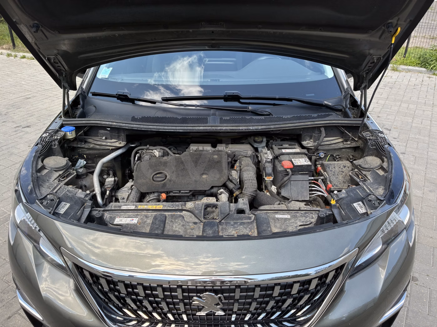 Peugeot 3008 фото 22
