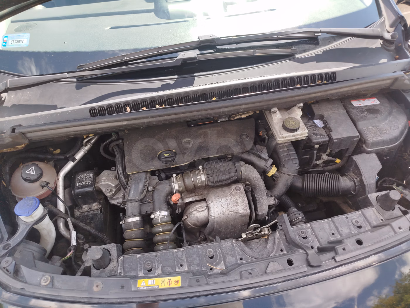 Peugeot 3008 фото 3