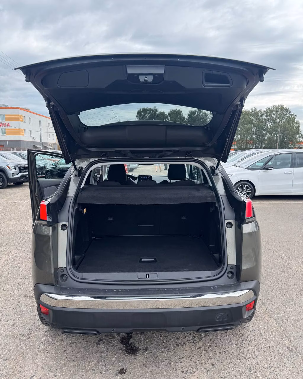 Peugeot 3008 фото 12