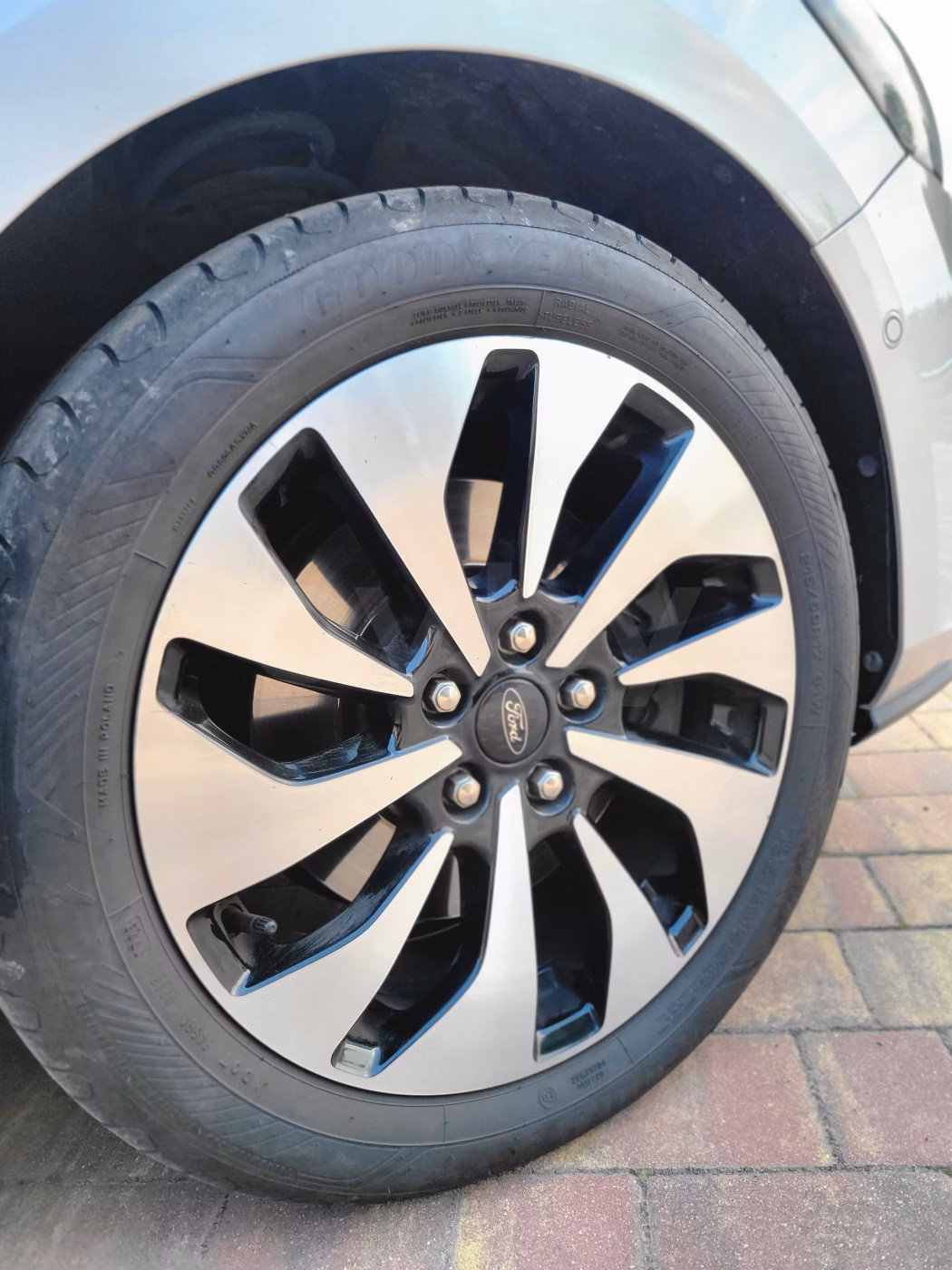 Ford Focus фото 23