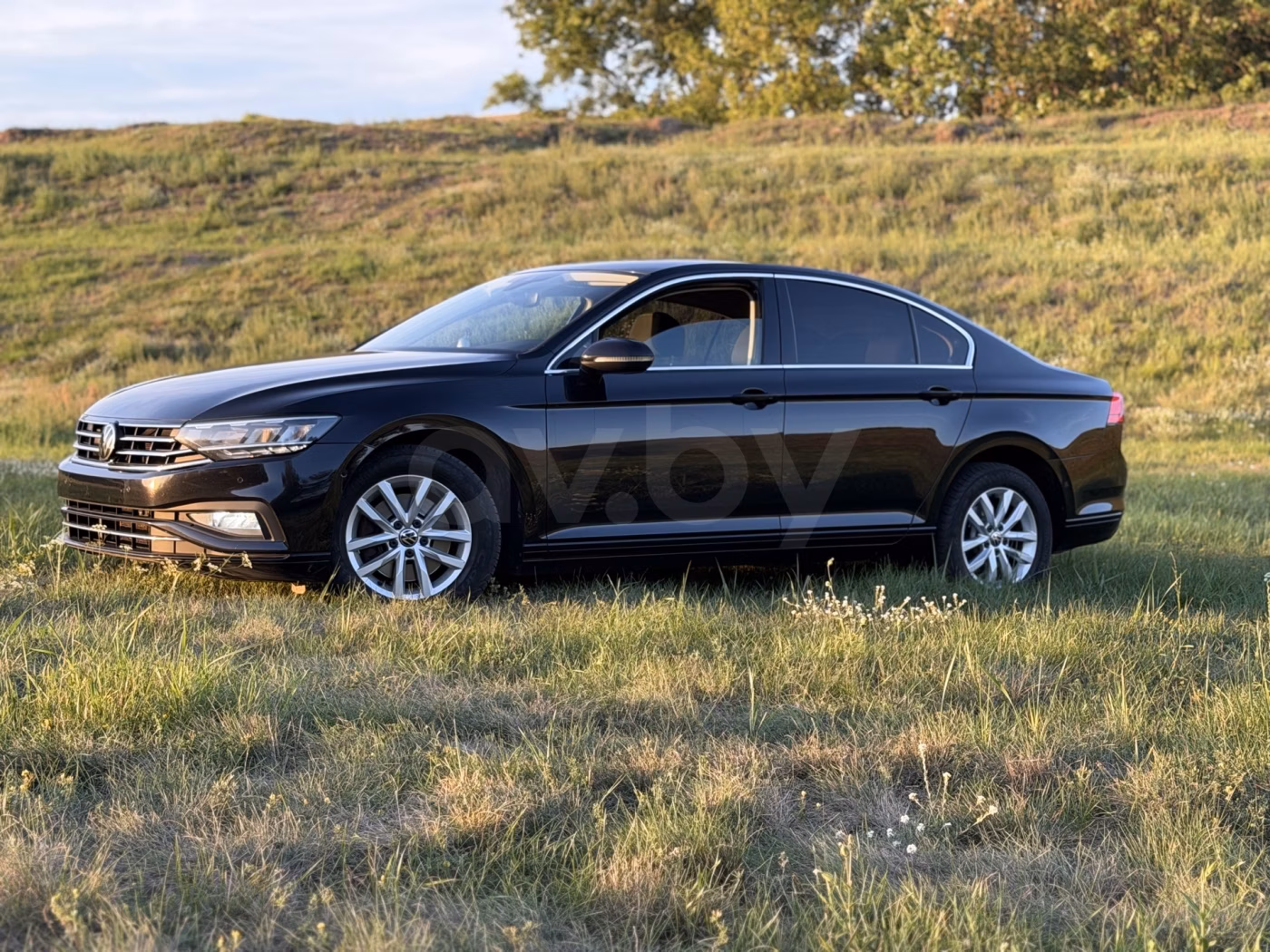 Volkswagen Passat фото 3