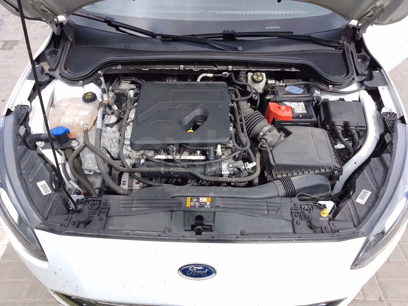 Ford Focus фото 6