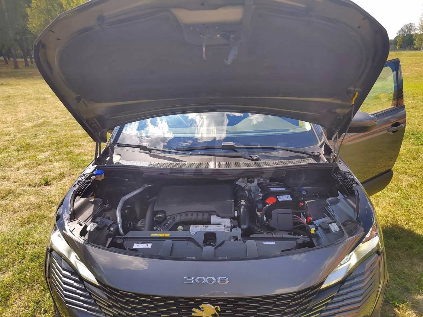 Peugeot 3008 фото 10