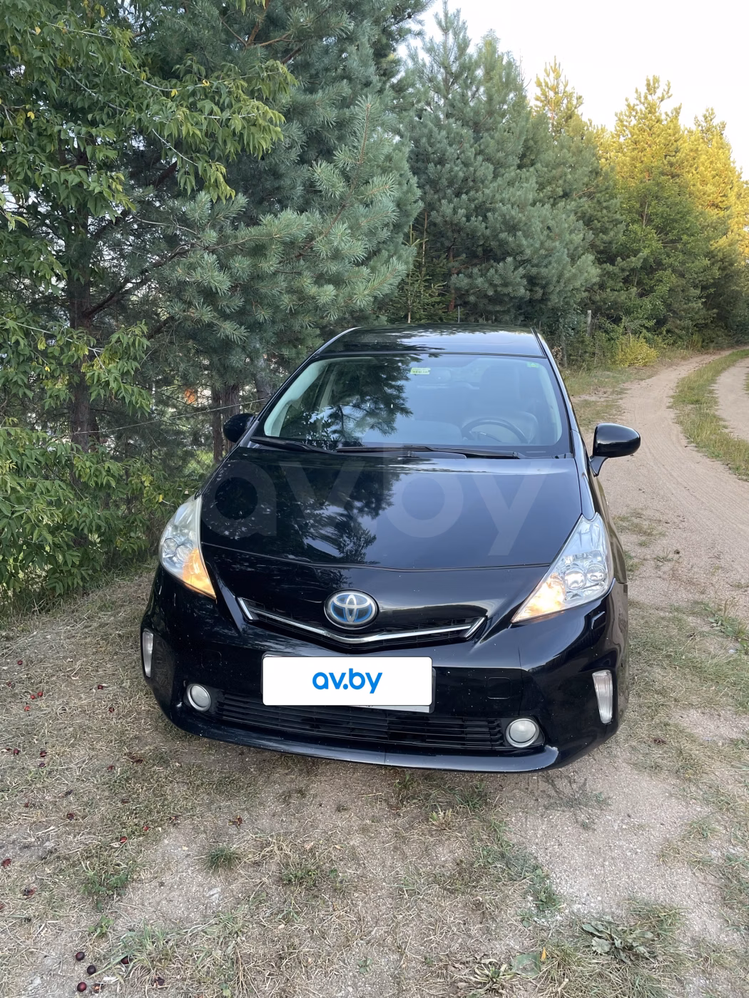 Toyota Prius V(+)