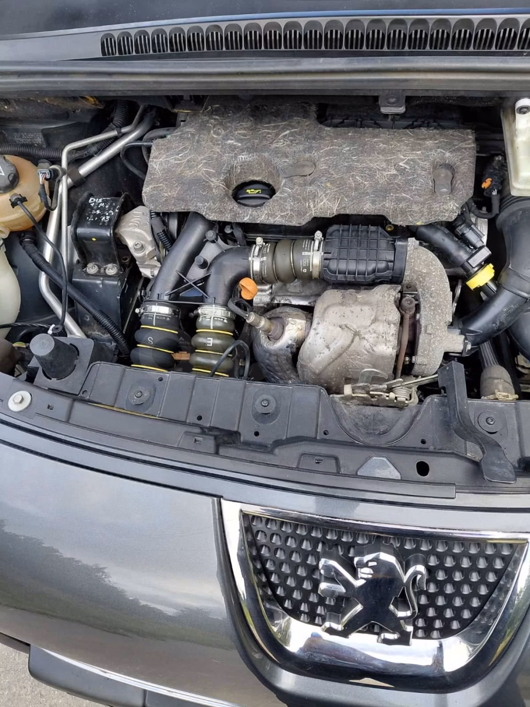 Peugeot 3008 фото 24
