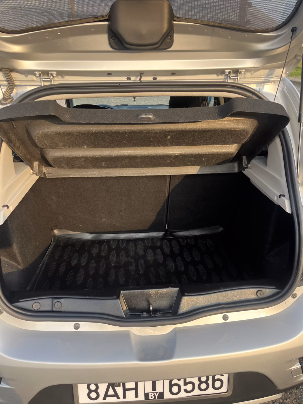 Renault Sandero Stepway фото 16