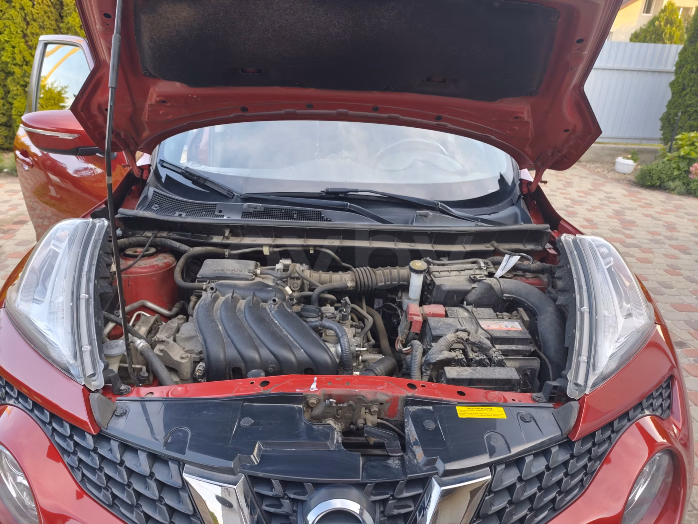 Nissan Juke фото 6