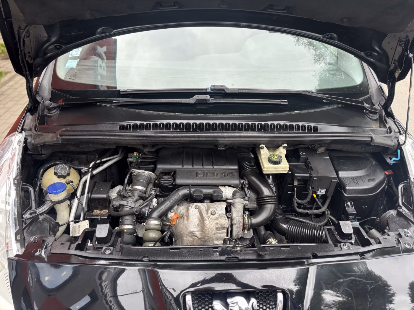 Peugeot 5008 фото 20